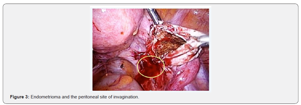 Click here to view Large Figure 3