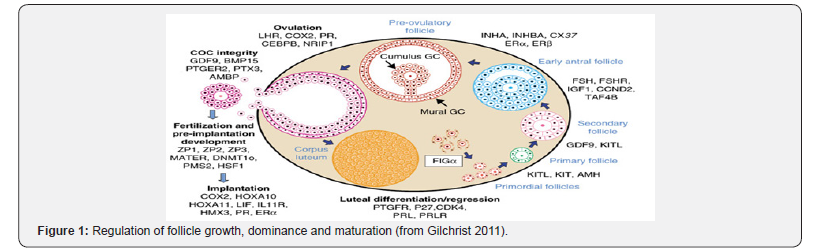 Click here to view Large Figure 1