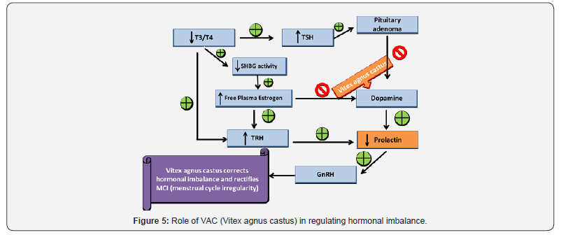 Click here to view Large Figure 5