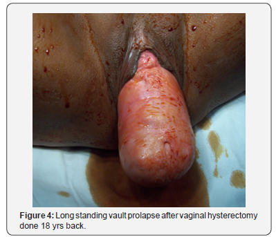 Click here to view Large Figure 4