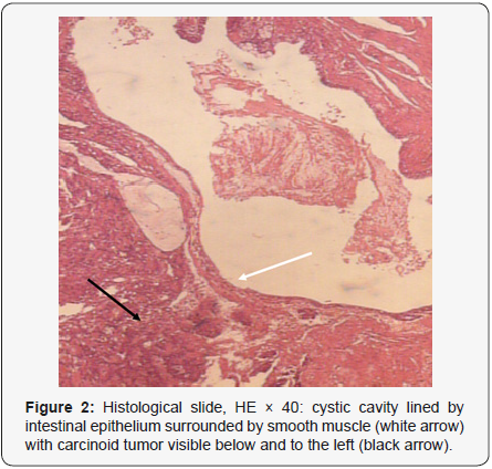 Click here to view Large Figure 2