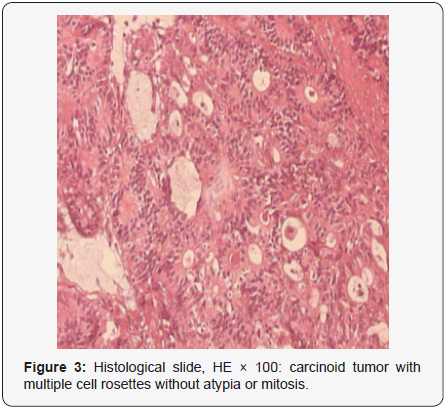 Click here to view Large Figure 3