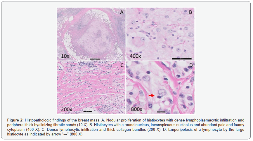 Click here to view Large Figure 2
