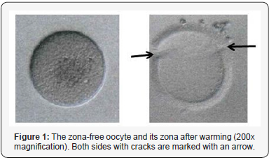 Click here to view Large Figure 1