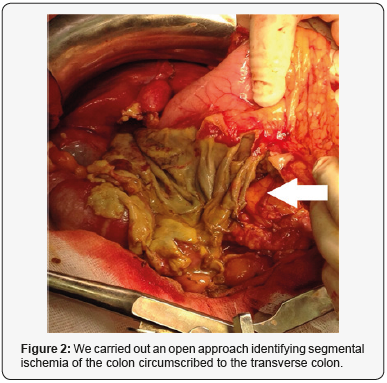 Click here to view Large Figure 2