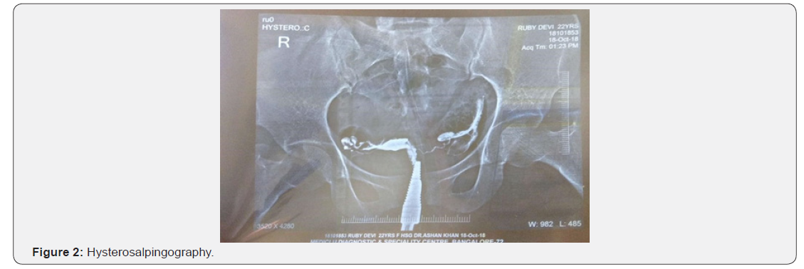 Click here to view Large Figure 2