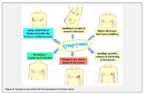 Click here to view Large Figure 2