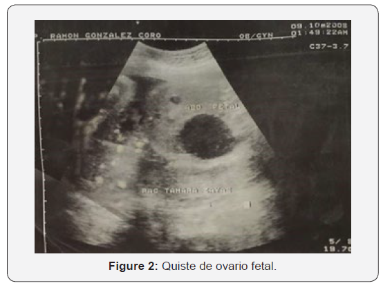 Click here to view Large Figure 2