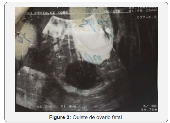 Click here to view Large Figure 3