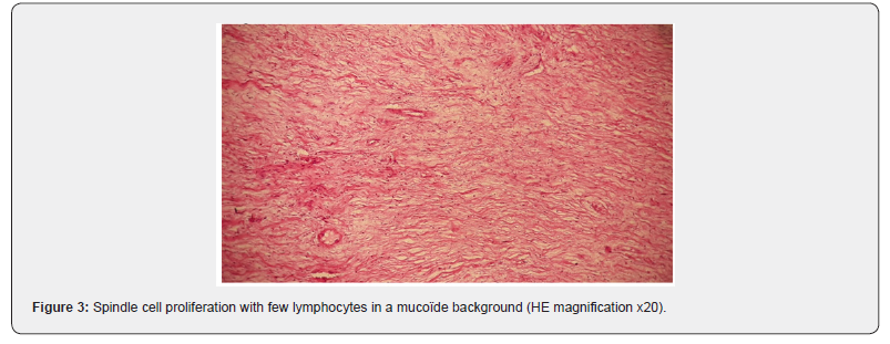Click here to view Large Figure 3