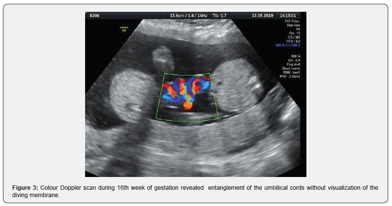 Click here to view Large Figure 3