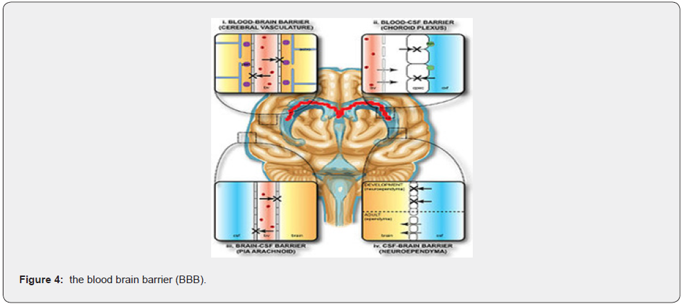 Click here to view Large Figure 4