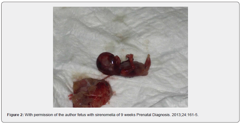 Click here to view Large Figure