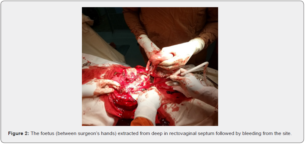 Click here to view Large Figure 2