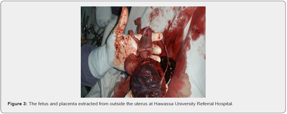 Click here to view Large Figure 3