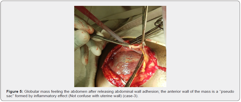 Click here to view Large Figure 5