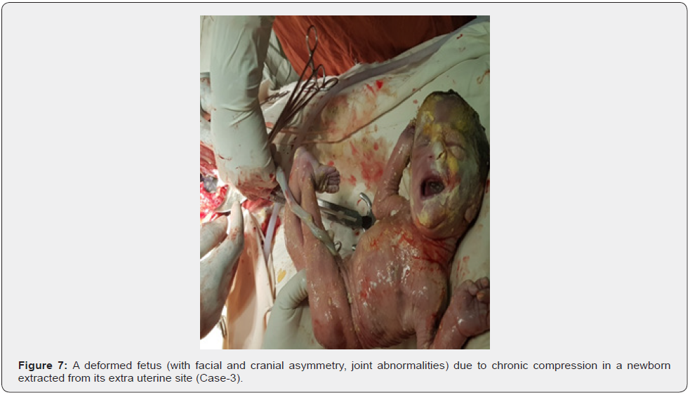 Click here to view Large Figure 7