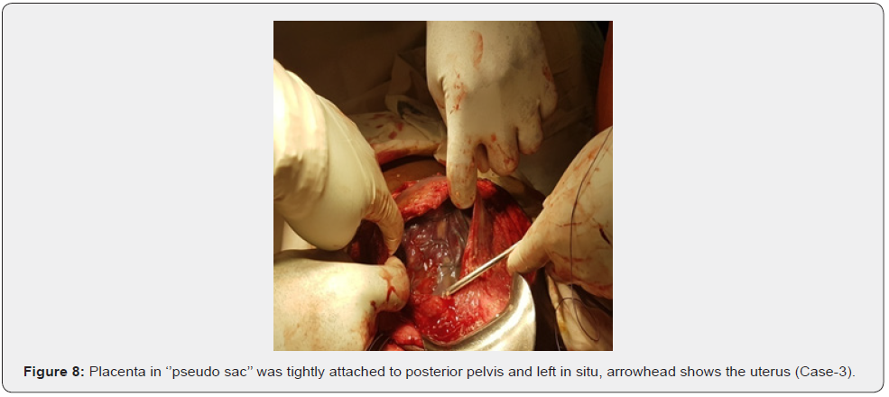 Click here to view Large Figure 8