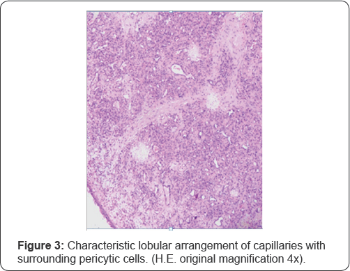 Click here to view Large Figure 3