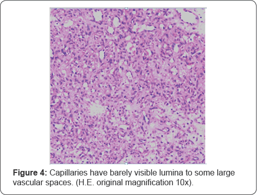 Click here to view Large Figure 4