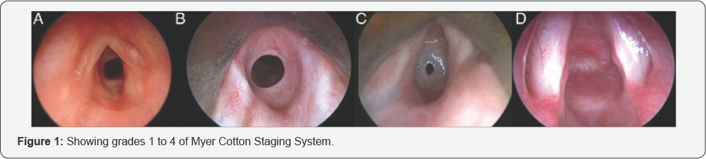 Click here to view Large Figure 1