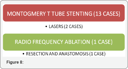 Click here to view Large Figure 8