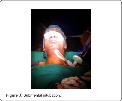 Click here to view Large Figure 3