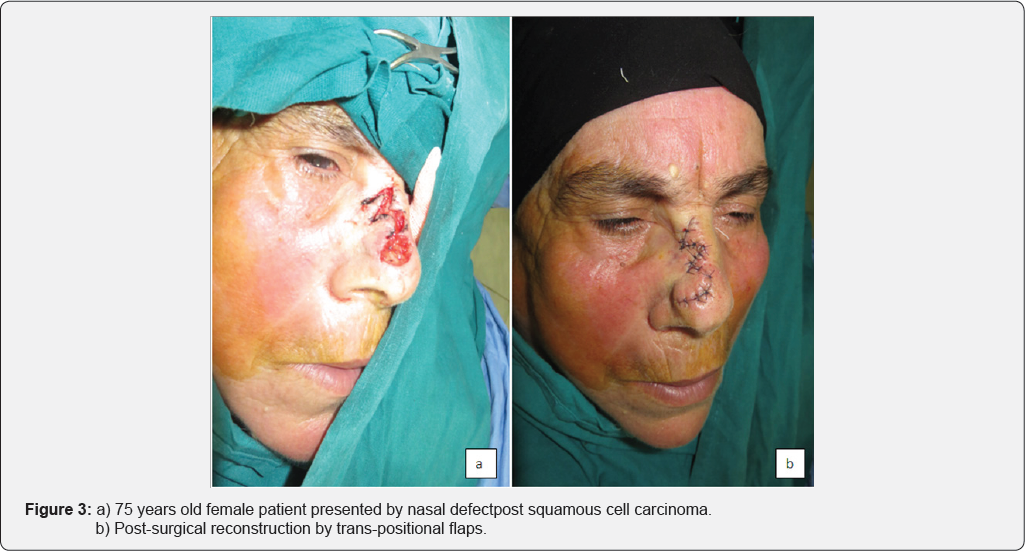 Click here to view Large Figure 3