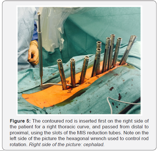 Click here to view Large Figure 5