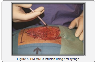 Click here to view Large Figure 5