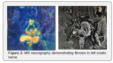 Click here to view Large Figure 2