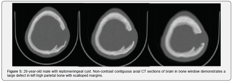 Click here to view Large Figure 5
