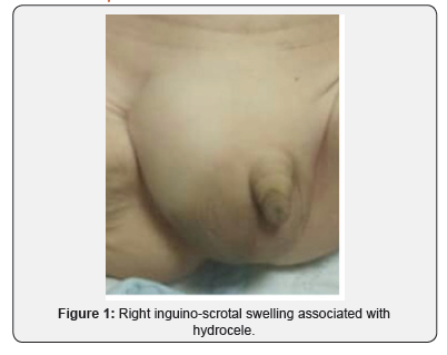 Click here to view Large Figure 1 Journal of Head Neck & Spine Surgery