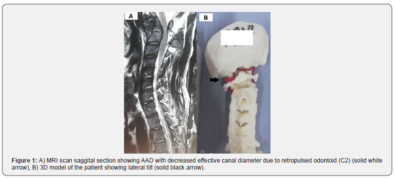 Click here to view Large Figure 1