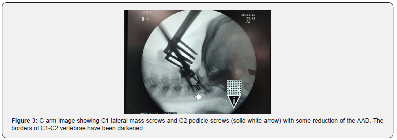 Click here to view Large Figure 3