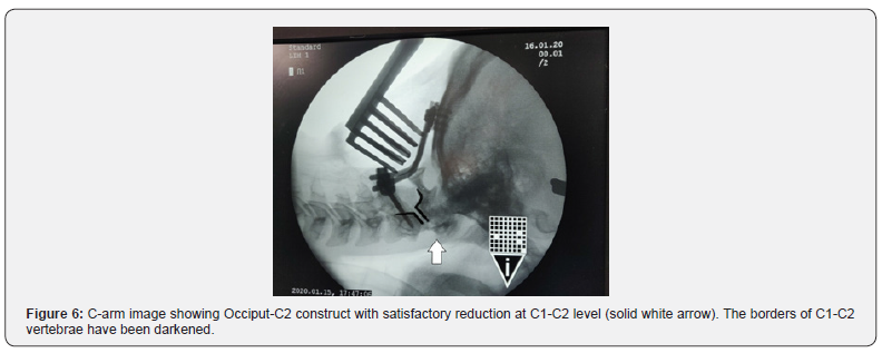 Click here to view Large Figure 6