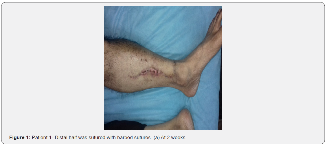 Click here to view Large Figure