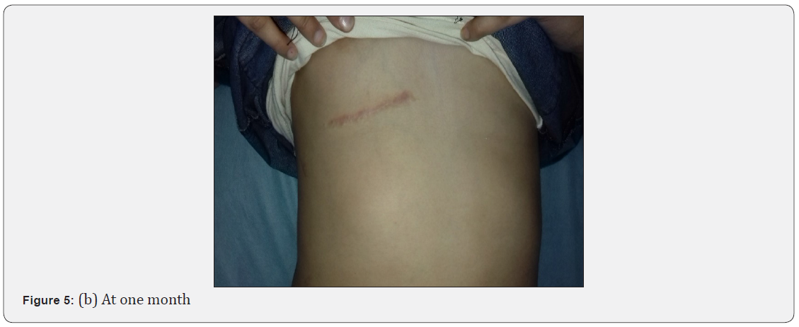 Click here to view Large Figure