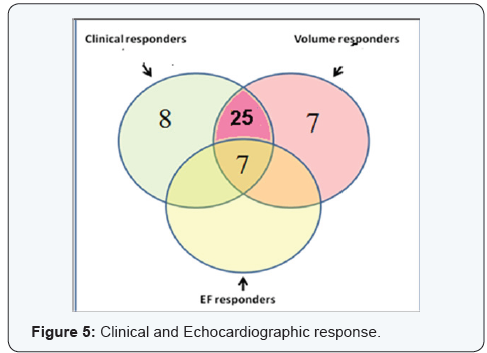 Click here to view Large Figure 5