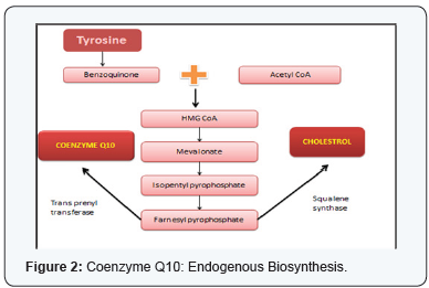 Click here to view Large Figure 2
