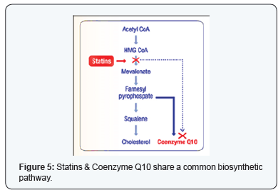 Click here to view Large Figure 5