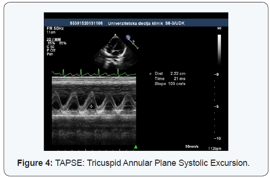 Click here to view Large Figure 4