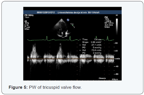 Click here to view Large Figure 5