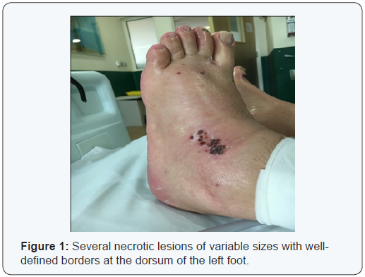 Click here to view Large Figure 1