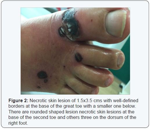 Click here to view Large Figure 2