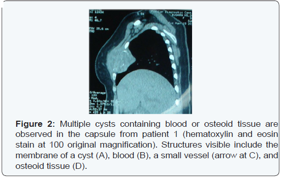 Click here to view Large Figure 2