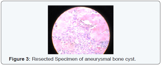 Click here to view Large Figure 3