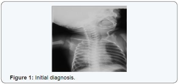 Click here to view Large Figure 1