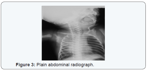 Click here to view Large Figure 3