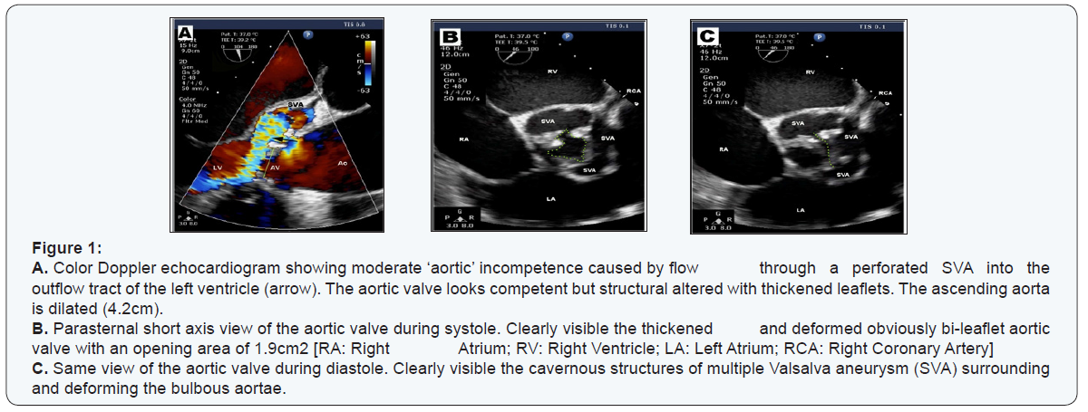 Click here to view Large Figure 1